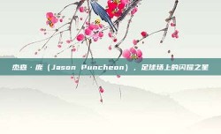 杰森·庞（Jason Puncheon），足球场上的闪耀之星