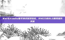 Wei与Xiaohu联手演绎默契搭档，RNG力克BLG展现强势风采