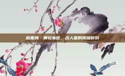 哈基姆·奥拉朱旺，名人堂的辉煌时刻