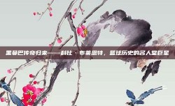 黑曼巴传奇归来——科比·布莱恩特，篮球历史的名人堂巨星