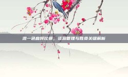 混一色麻将比赛，资源管理与胜负关键解析