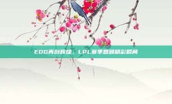 EDG再创辉煌，LPL赛季回顾精彩瞬间