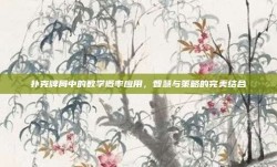 扑克牌局中的数学概率应用，智慧与策略的完美结合