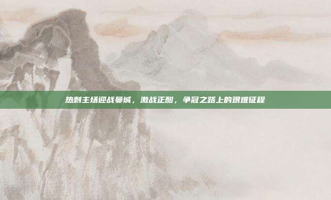 热刺主场迎战曼城，激战正酣，争冠之路上的艰难征程  第1张