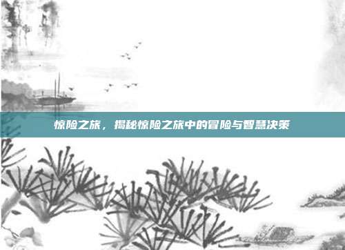 惊险之旅，揭秘惊险之旅中的冒险与智慧决策  第1张