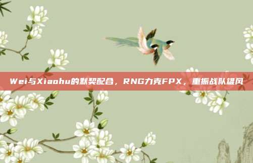 Wei与Xiaohu的默契配合，RNG力克FPX，重振战队雄风  第1张