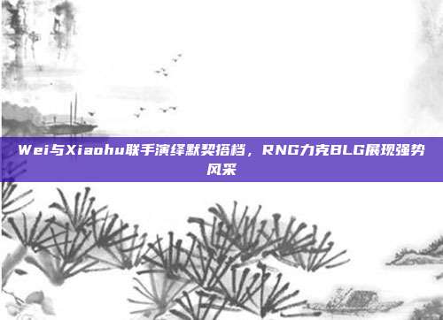 Wei与Xiaohu联手演绎默契搭档，RNG力克BLG展现强势风采  第1张