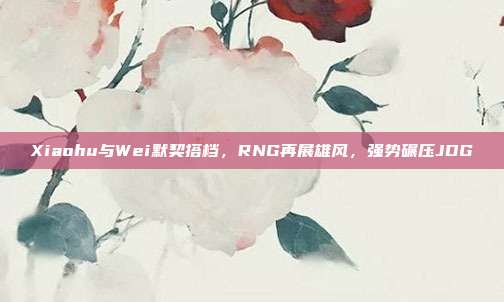 Xiaohu与Wei默契搭档，RNG再展雄风，强势碾压JDG  第1张